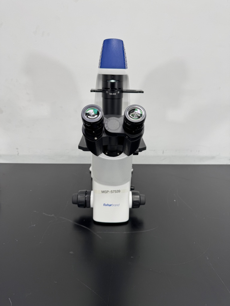 Image of Fisherbrand Inverted Microscope